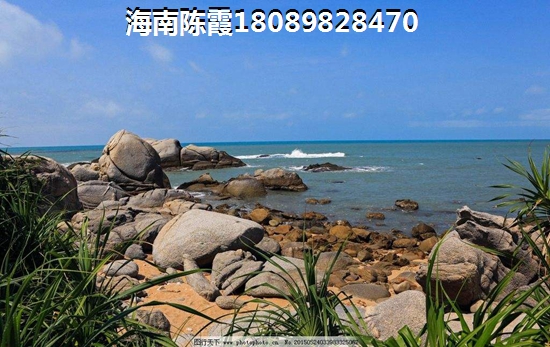 福建touzi优势分析！