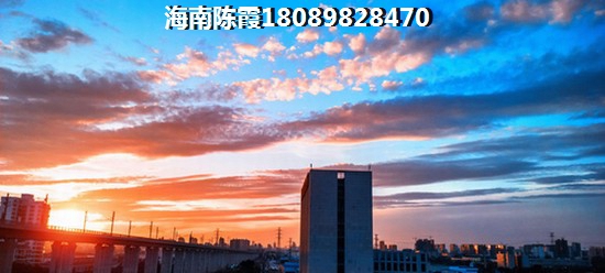 大名城紫金九号房价开始下跌醉新消息！