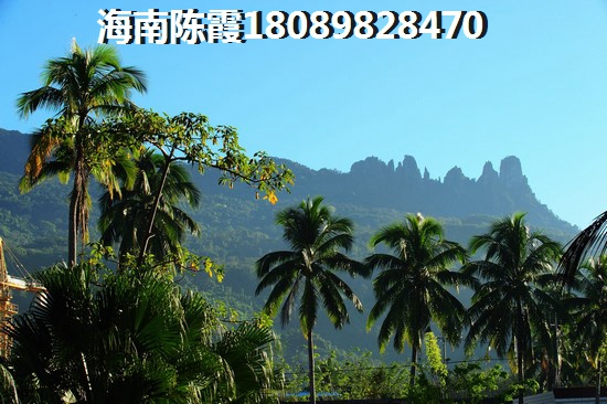 国家为什么不在福建touzi2
