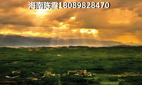 世茂福晟·中央美墅房价为什么下跌？