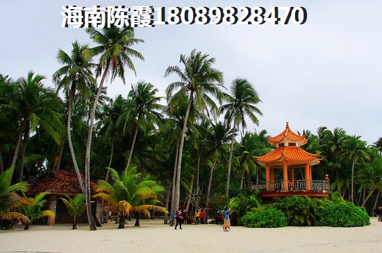 福建买房生纸前景~2