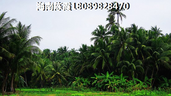 华章硕丰·八方城交通图